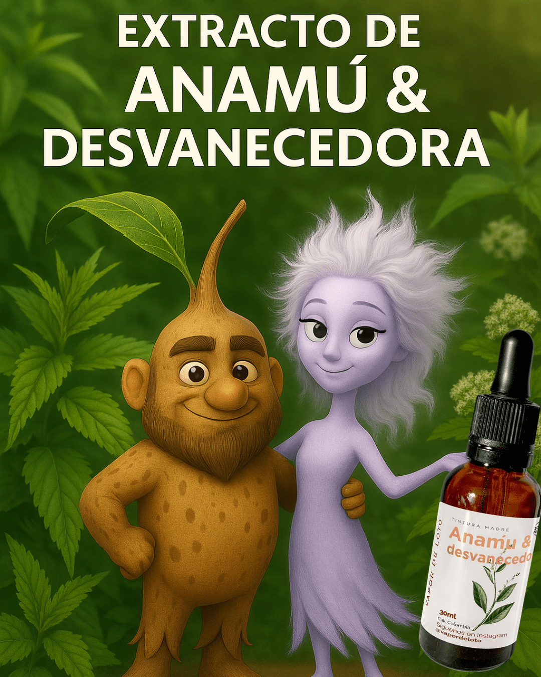 Extracto líquido de Anamú & Desvanecedora - extractos y aceites naturales de Vapor de Loto